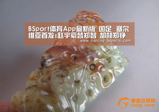 BSport体育下载